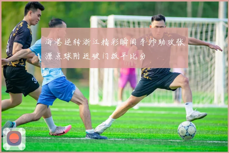 海港逆转浙江精彩瞬间李帅助攻张源点球附近破门扳平比分